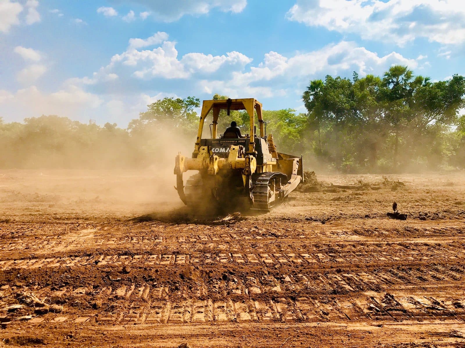 Bulldozer clearing a wooded lot
